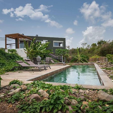 T2 Moderne Avec Piscine Oasis De Nature Et Serenite Petit-Canal Luaran gambar