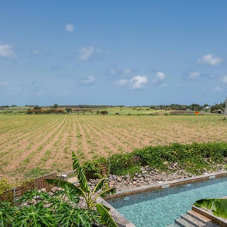 T2 Moderne Avec Piscine Oasis De Nature Et Serenite Petit-Canal Luaran gambar