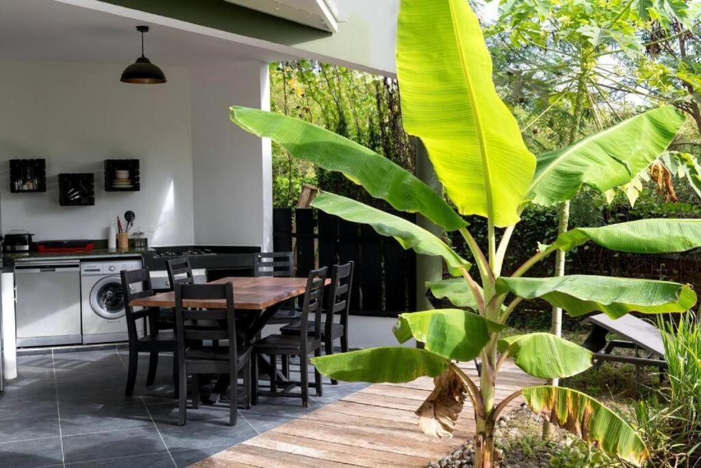 T2 Moderne Avec Piscine Oasis De Nature Et Serenite Petit-Canal Luaran gambar