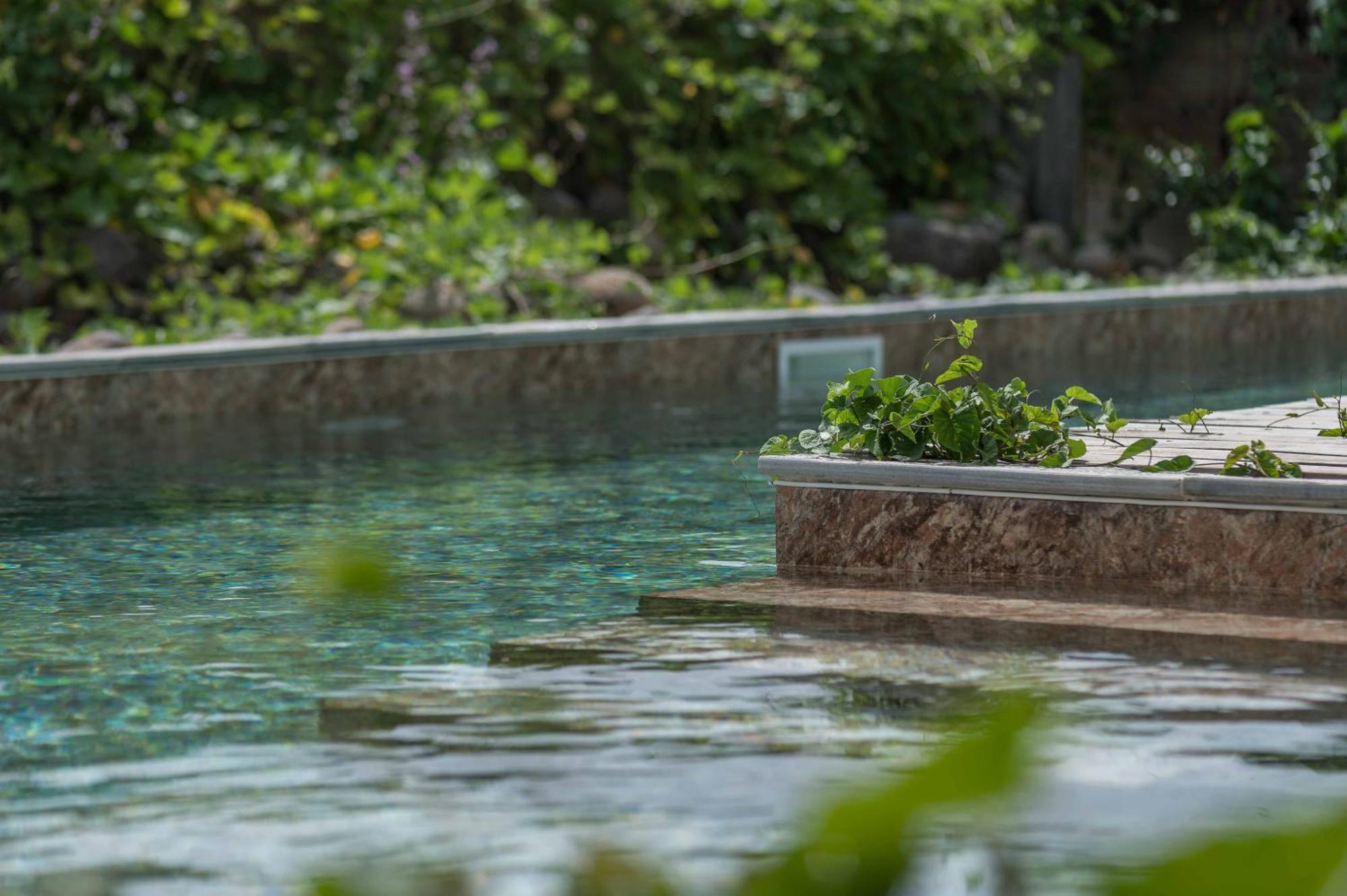 T2 Moderne Avec Piscine Oasis De Nature Et Serenite Petit-Canal Luaran gambar